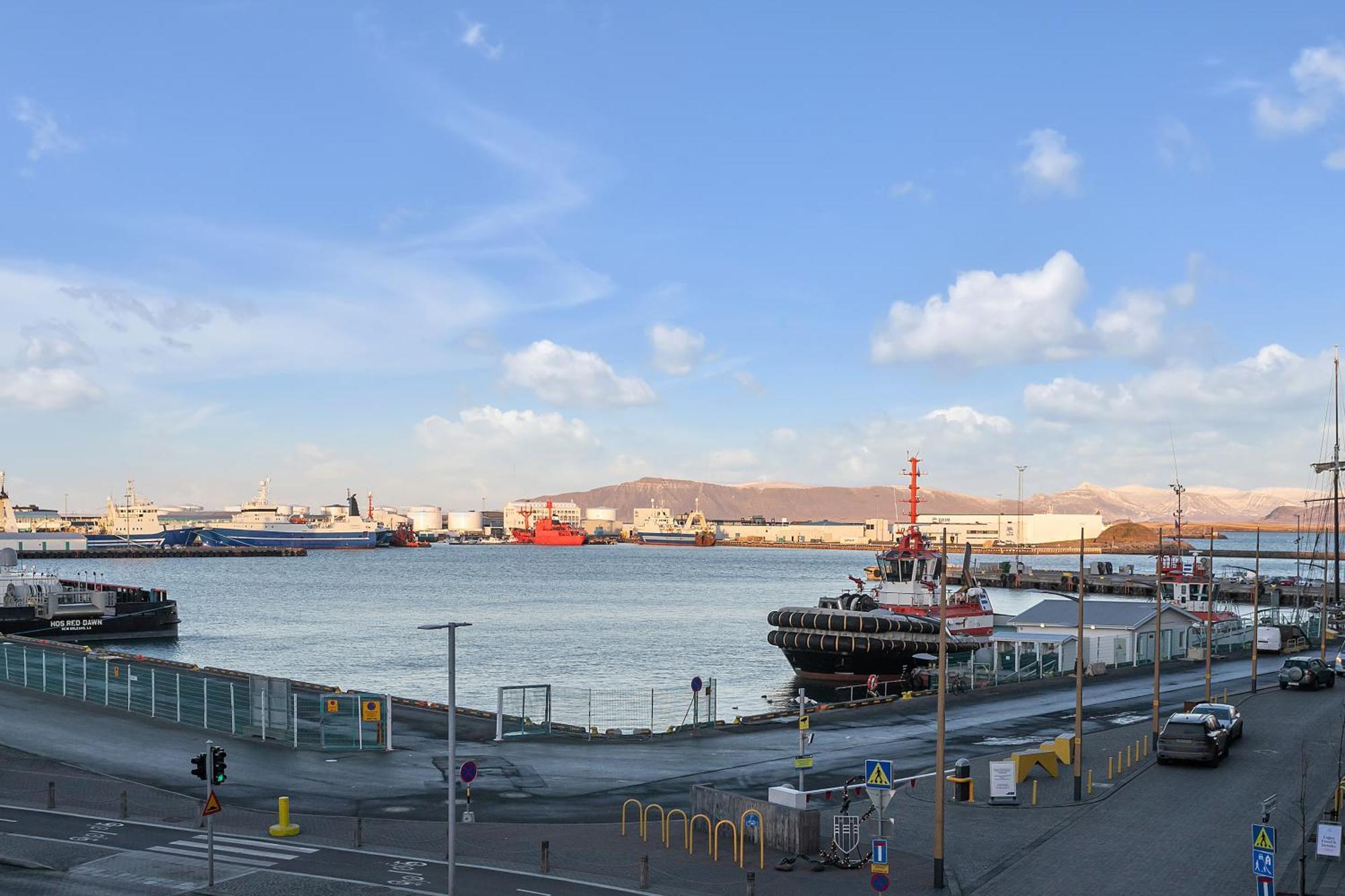 Sunny Central Reykjavik Apartment - Harbour View Exteriör bild